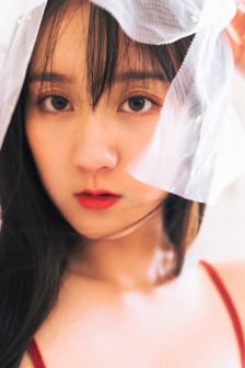 动物管理员